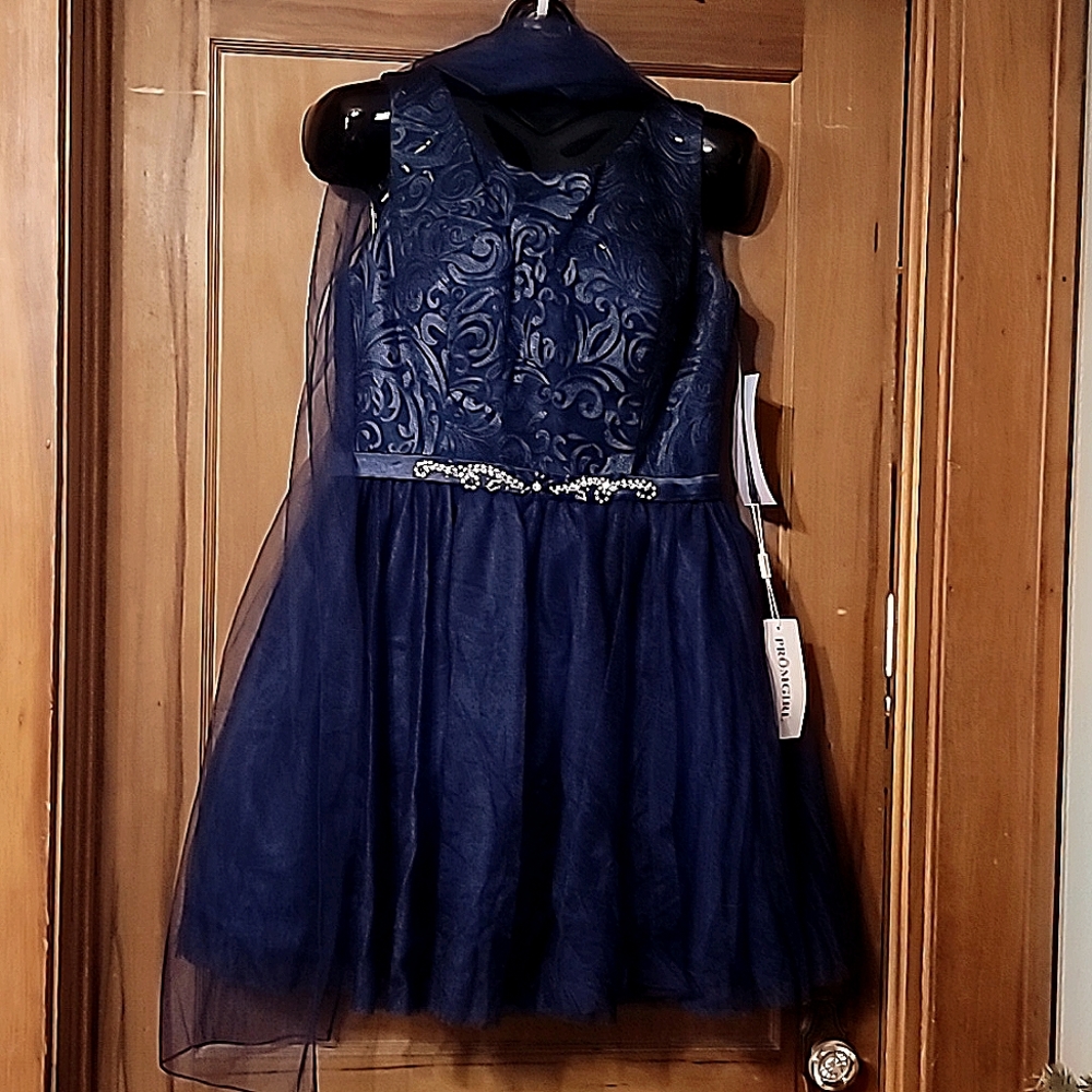 Navy/Royal Blue Women's Short Formal Dress XL